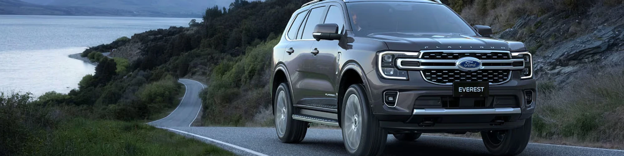 Banner Ford Desktop