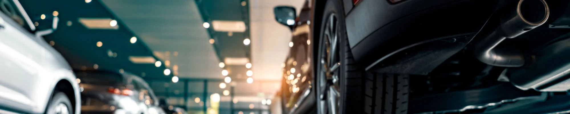 Dealerships Lp